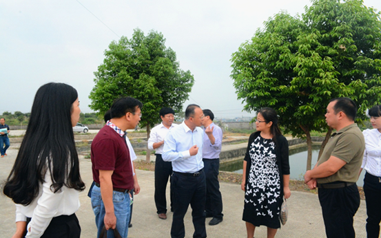 湖南省教育厅应若平副厅长到我校调研中职工作