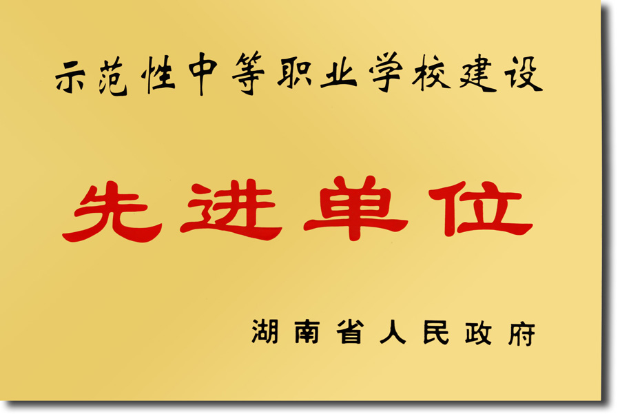 示范性中等职业学校建设先进单位