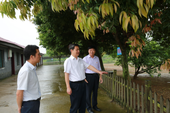 市委书记严华来校调研