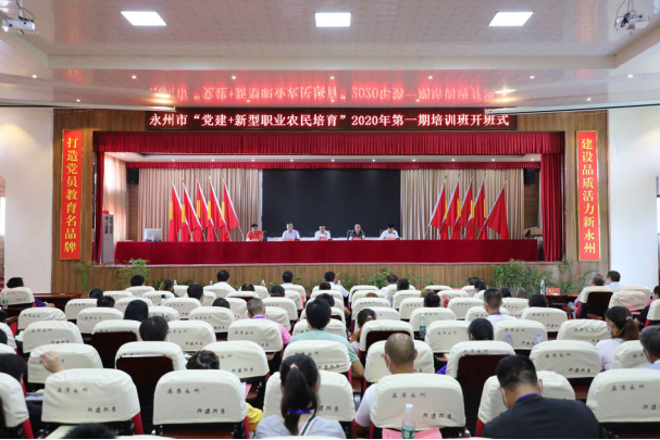 为脱贫致富插上腾飞的“翅膀”