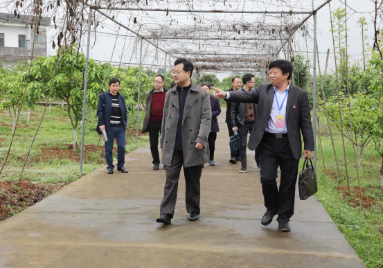 省核查组来我校开展办学条件核查工作