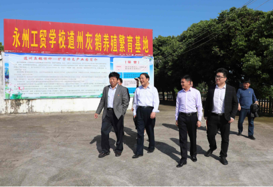 市职教调研组深入我校调研