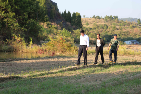 抢农时忙秋种，献礼二十大！