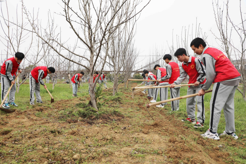 我校持续深化劳动教育